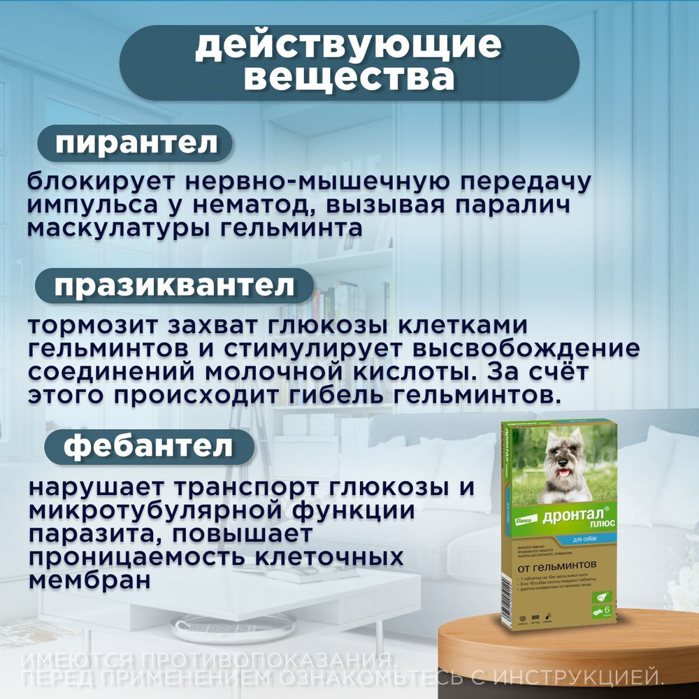 Таблетки для собак от гельминтов и лямблий со вкусом мяса Дронтал плюс, 6 таблеток в упаковке. Празиквантел/Пирантел эмбонат/Фебантел