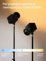 Осветитель светодиодный Raylab RL-100BI 2700-6500K 100W 5000mAh c аксессуарами