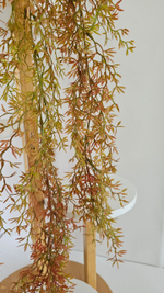 Рипсалис / Арт 4439