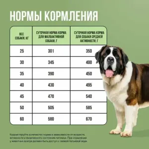 Уценка! Срок 30.03 / Сухой корм BOWL WOW для взрослых собак кр пород с ягненком, индейкой, рисом и цукини