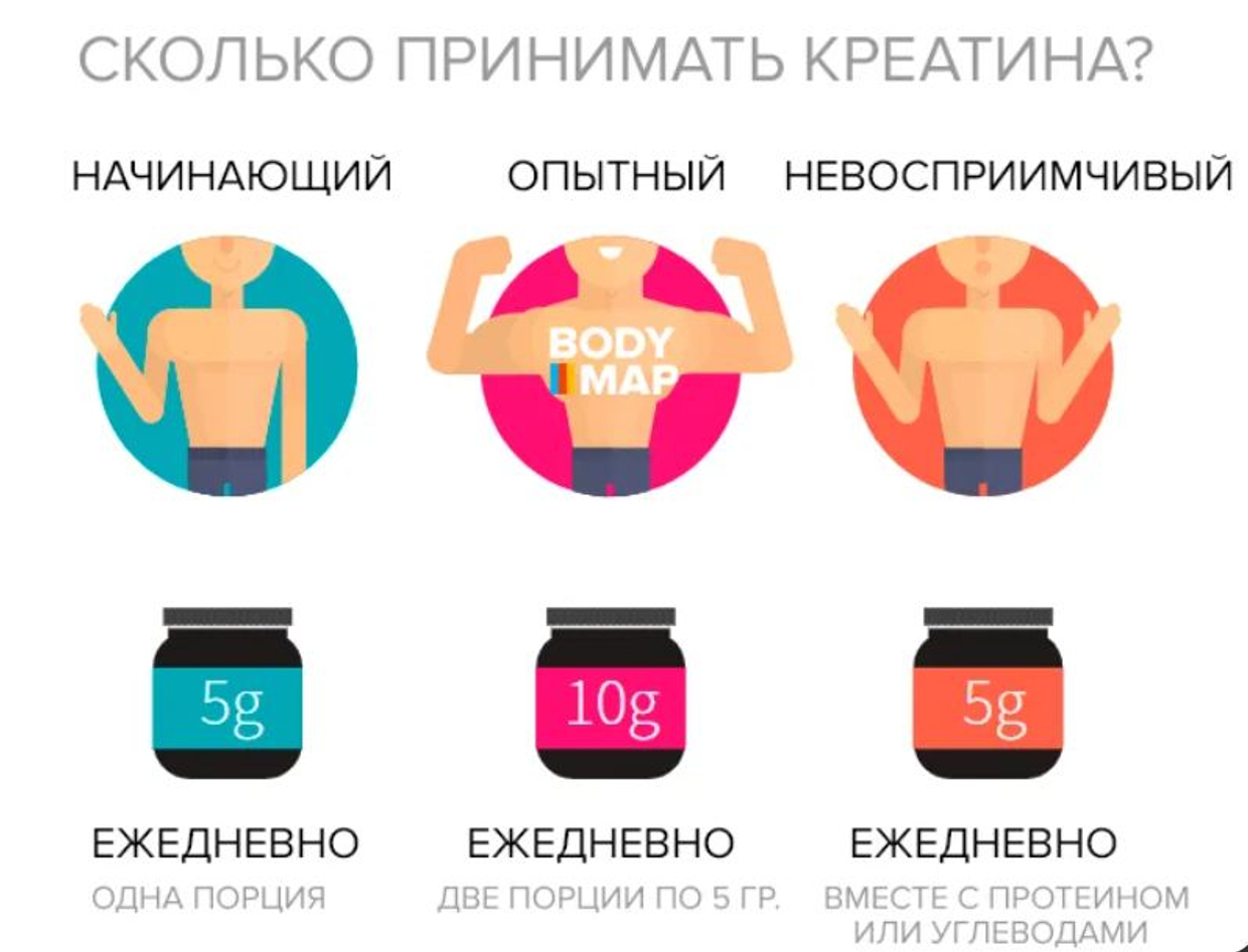 Как работает креатин: механизм действия, влияние на силу и мышцы