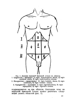 Топографическая анатомия и оперативная хирургия живота и таза | В.Х. Фраучи