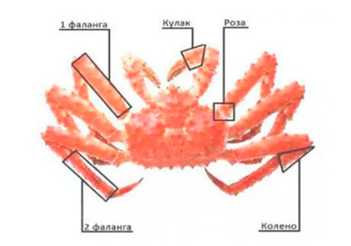 Мясо камчатского краба, роза, 500г