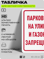 Табличка для частной территории "Парковка на улице и газоне запрещена", на дом, для участка, организаций и частных территорий, предупреждающая, 40х30 см, Silver Plane x Айдентика Технолоджи