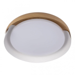 Потолочный светодиодный светильник Loft It Coin 10198 White