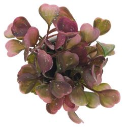 GAEM Цветочная композиция, L12 W12 H18 см