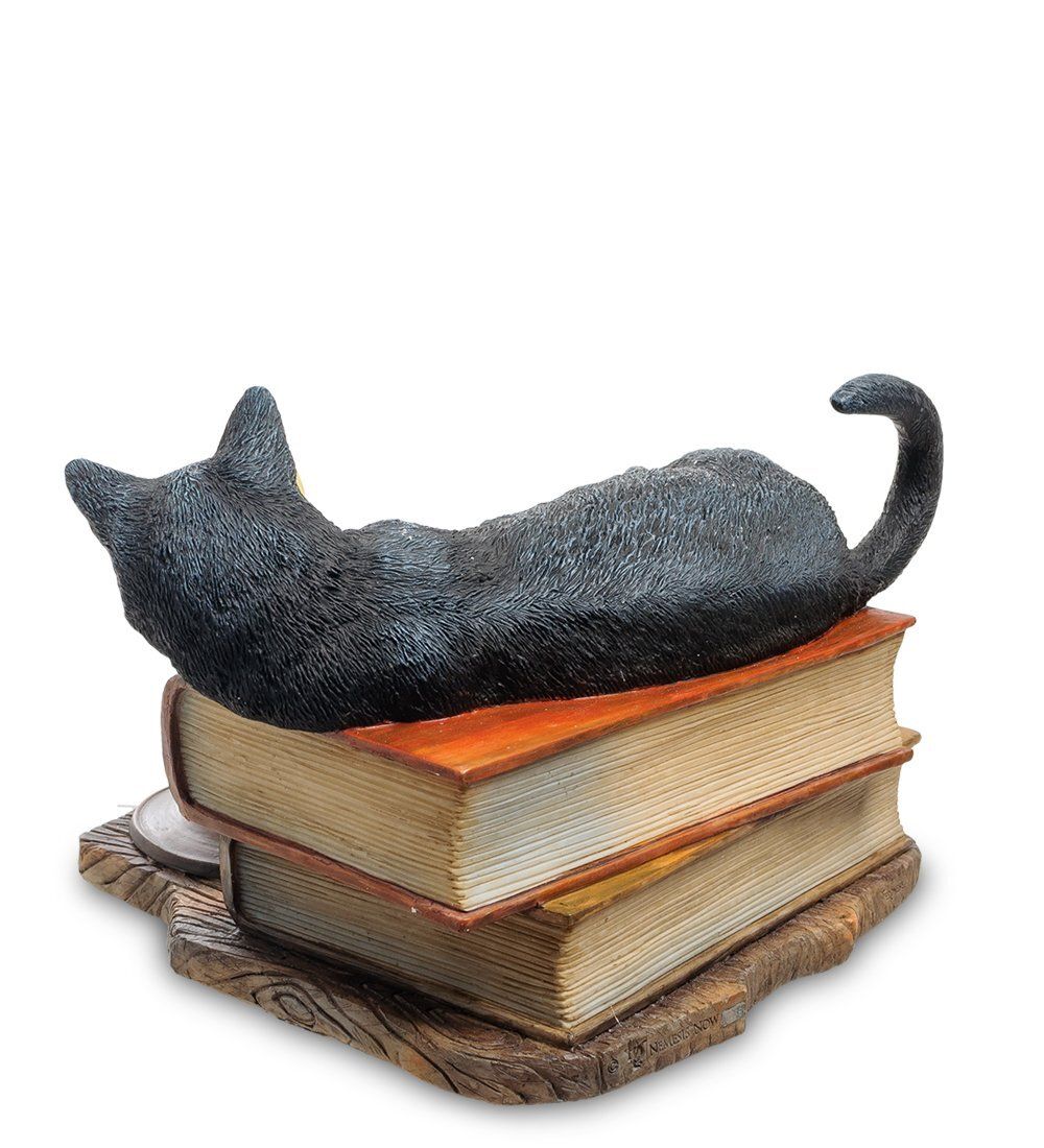 WS-843 Статуэтка «Кот на книгах» (Лиза Паркер)