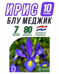Ирис луковицы 10шт., Блю Меджик, для посадки в грунт. Голландия, Нидерланды