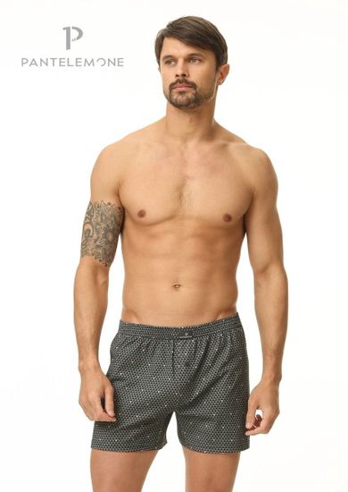 Трусы мужские семейные для больших мужчин Pantelemone PMBB-412, треугольники серо-зеленые