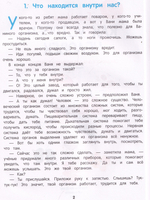 Как Устроен Человек
