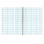 Тетради предметные, КОМПЛЕКТ 12 ПРЕДМЕТОВ, 48 л., обложка картон, BRAUBERG "HARMONY", 405167