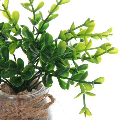 Цветок искусственный «Суккулент» 5*15см в стеклянном горшке