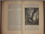 "Новое жизнеописание Наполеона I". Виллиан Слоон. 1896г.