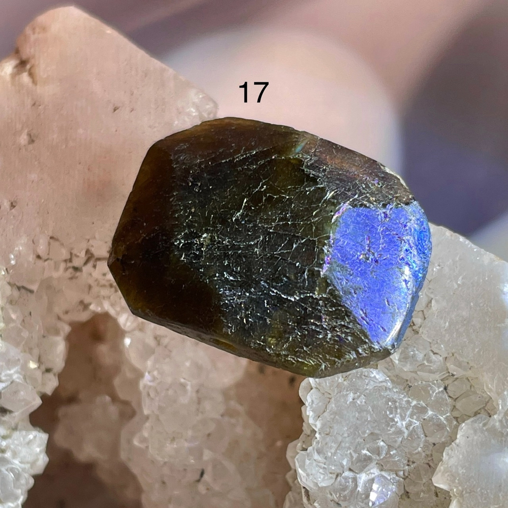 49615 Лабрадор Бусина тон. 16*22мм-19