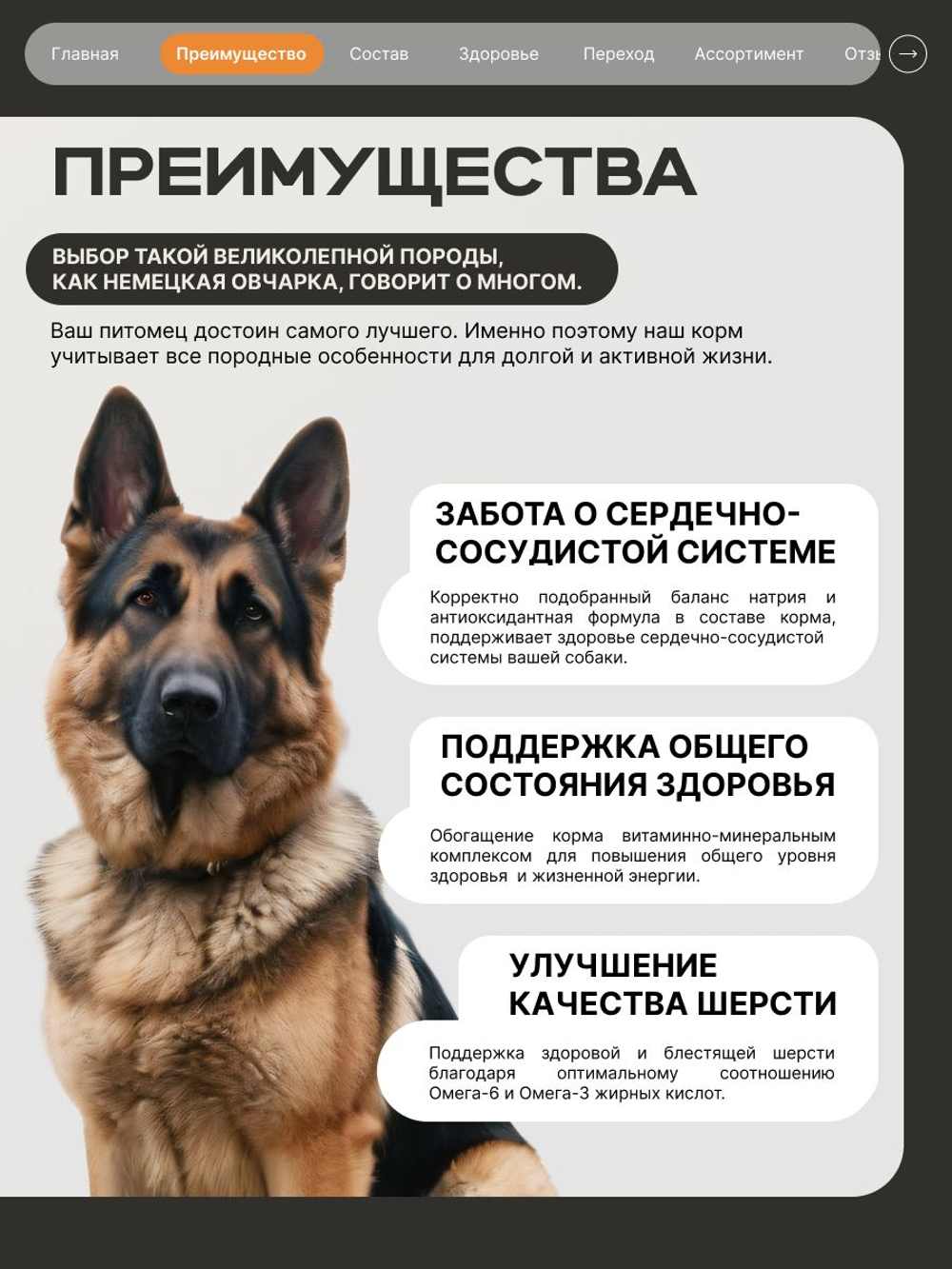 Корм сухой для взрослых собак породы Немецкая овчарка, премиум полнорационный комплекс, с индейкой, 3 кг, QUATTRO