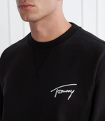 Худи Tommy Jeans - черный(DM0DM17989)