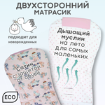 Матрасик в коляску модель КМ1 BG 169-3 розовый принт