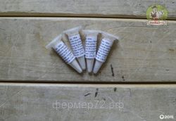 Закваска для сыра Чеддер на 10 л молока