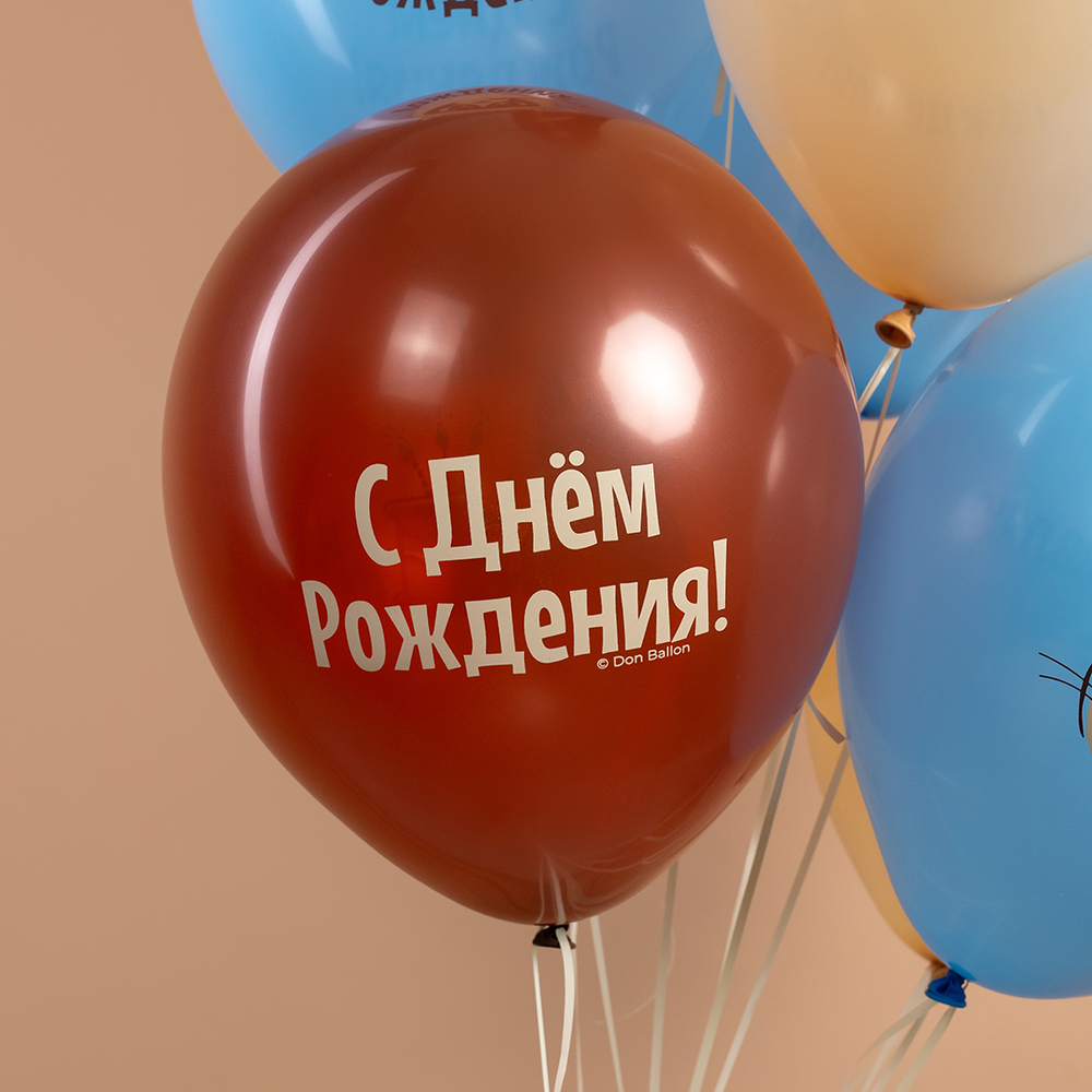 Шар 12" Ассорти С Днем Рождения, сердитая кошка ДБ 10 шт