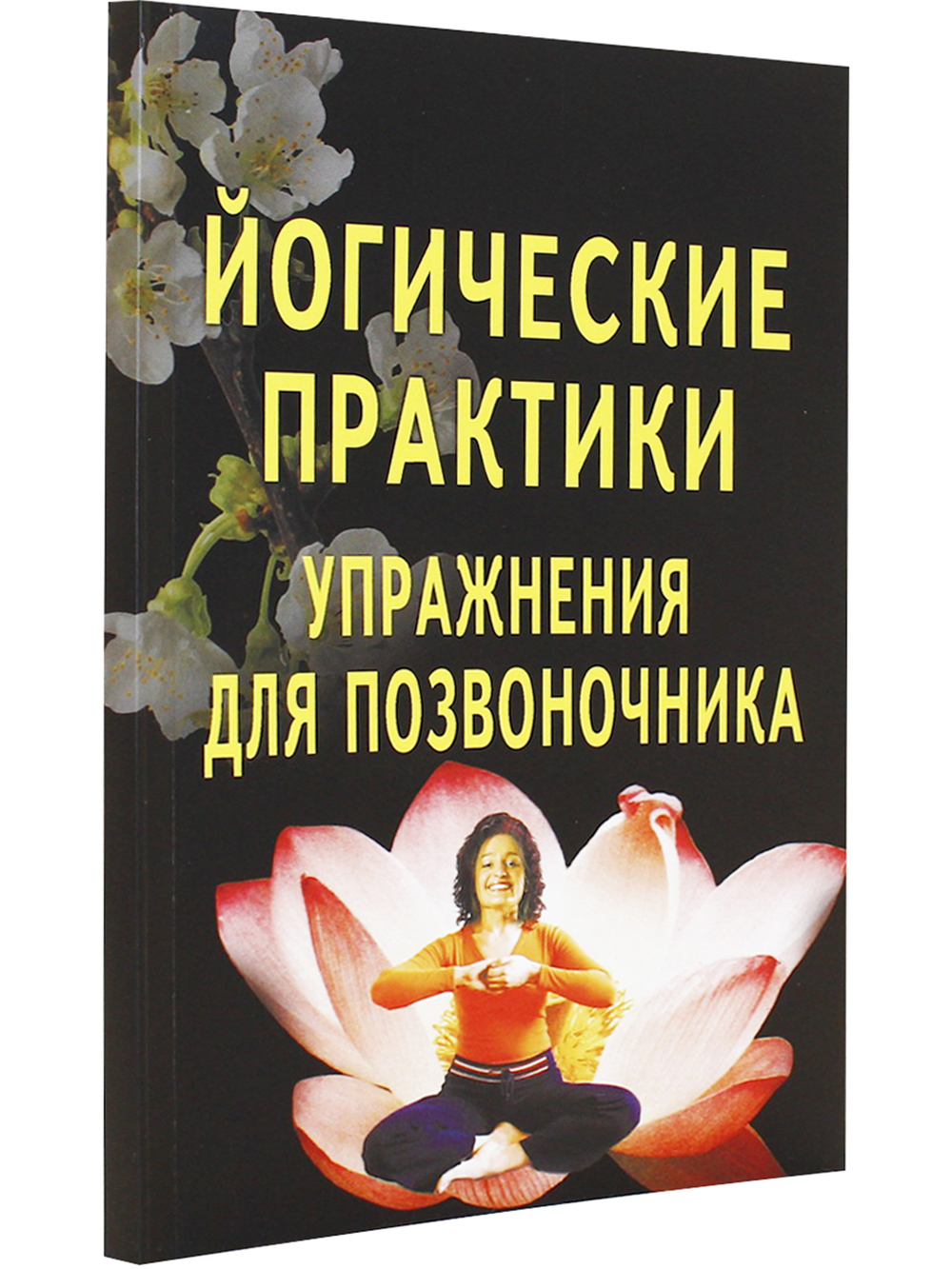Йогические практики. Упражнения для позвоночника. 3-е изд.