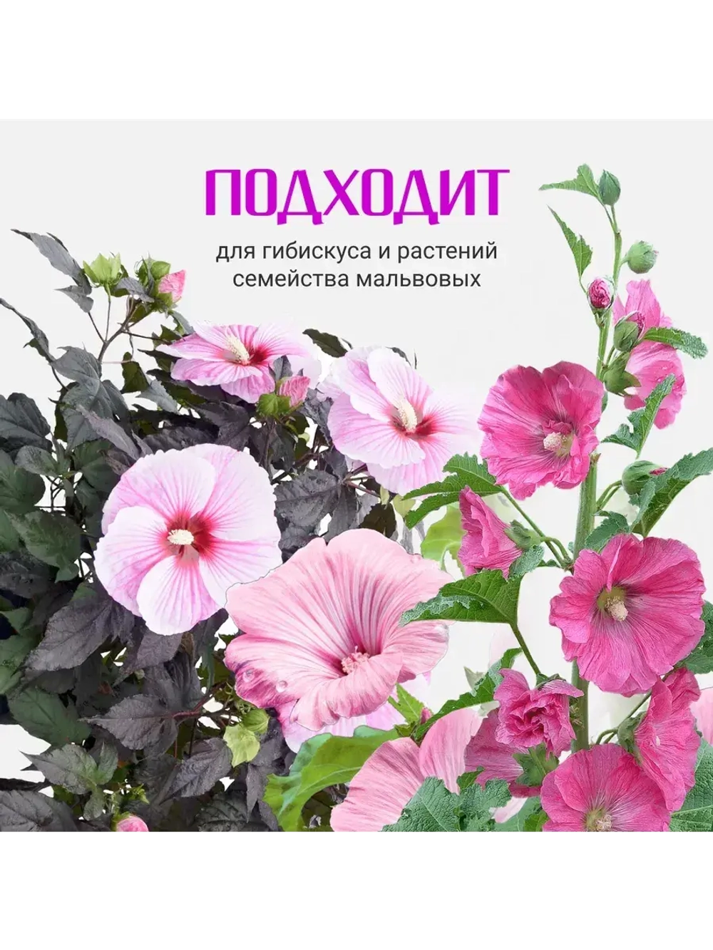 Органический грунт для гибискуса (китайская роза) 5 л