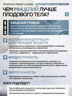Грибной щит 90 капсул
