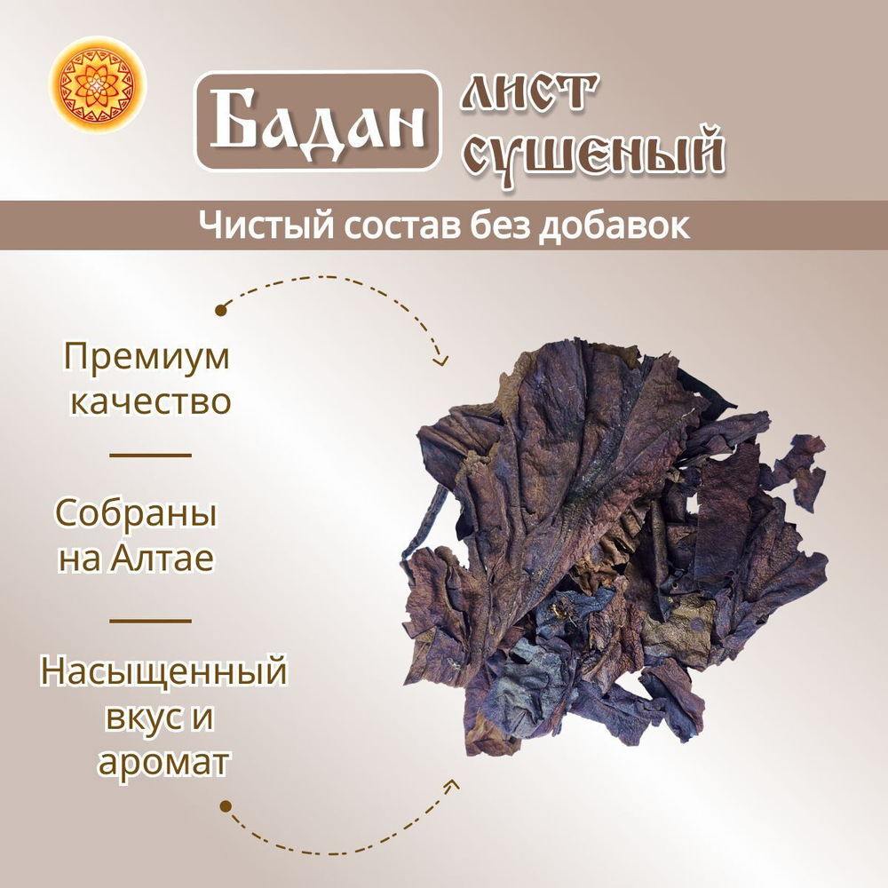 Бадан горный лист