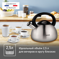 Чайник для плиты Tefal 2,5 л C7921024