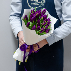 Фиолетовые тюльпаны