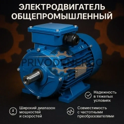 Электродвигатель общепромышленный АИР 100L4 4кВт 1500об/мин 1081 (лапы)