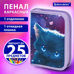 Пенал BRAUBERG 1 отделение 1 откидная планка полиэстер 21х14 см "Anime cat" (2 штуки в упаковке)