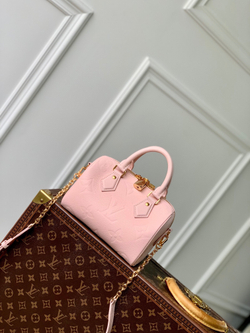 Louis Vuitton Speedy 20