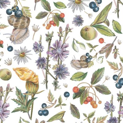 Улитка, ягоды и цветы