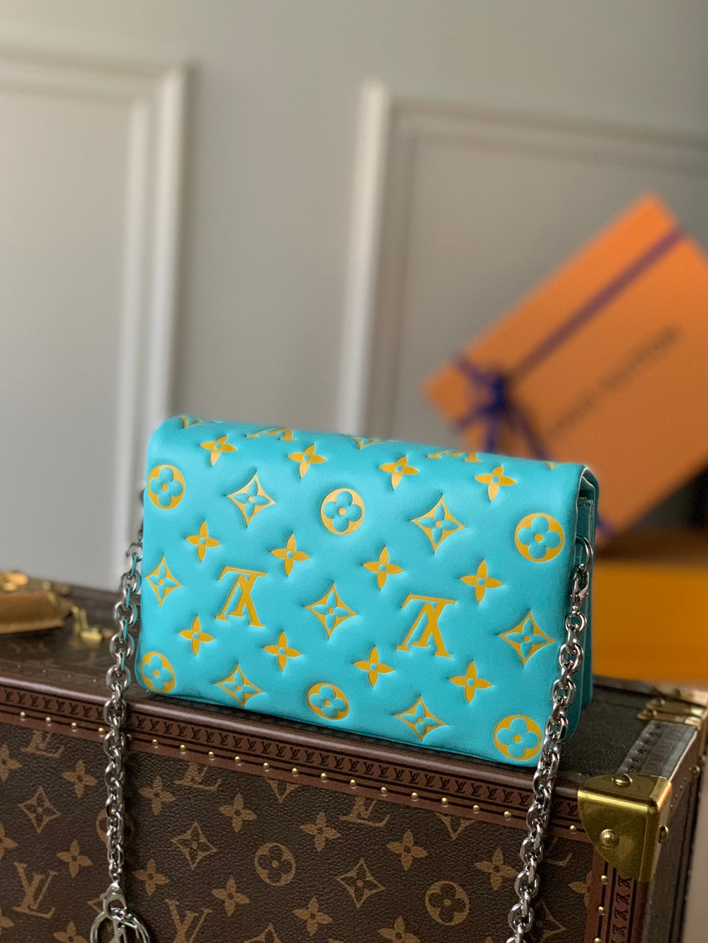 Louis Vuitton Pochette Coussin