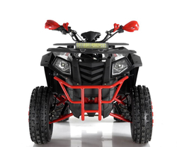 Квадроцикл WELS ATV Thunder 200 Evo X
