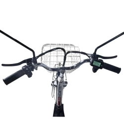 Электровелосипед Jetson Pro Max Classic (48V13Ah)