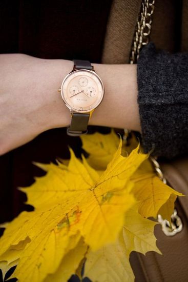 Женские часы Skagen SKW2392