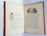 "По белу свету. Очерки и картины из путешествий по трем частям Старого света". А.В. Елисеев. 1904г. - редкая книга