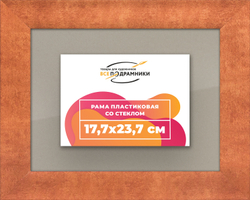 Рамка 17,7x23,7 для постера и фотографий