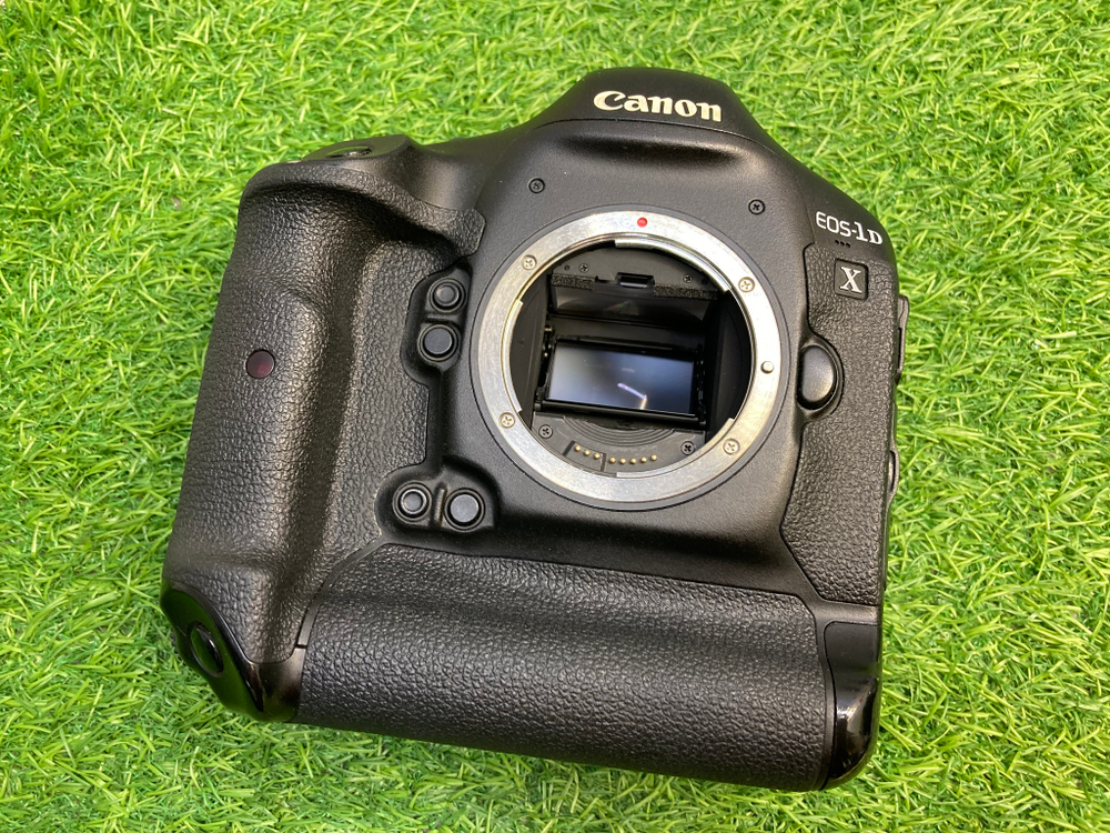 Canon EOS 1DX (257.000 кадров)