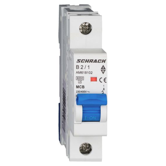 Автоматический выключатель Schrack Technik 1P B 2A 6kA Amparo AM618102--