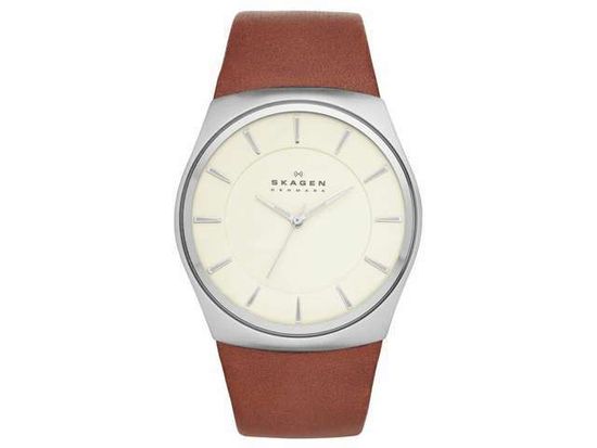 Наручные часы Skagen SKW6084