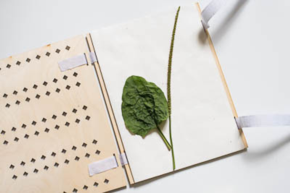 Папка гербарная