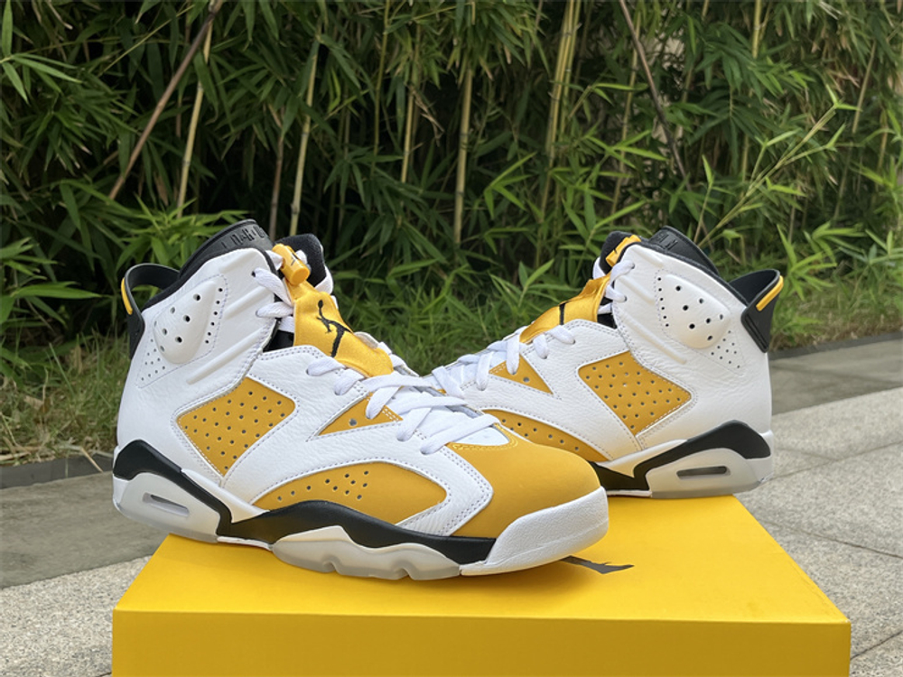 Air Jordan 6 CT8529-170