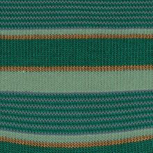 Носки Mixed Stripe FALKE 12267/7950