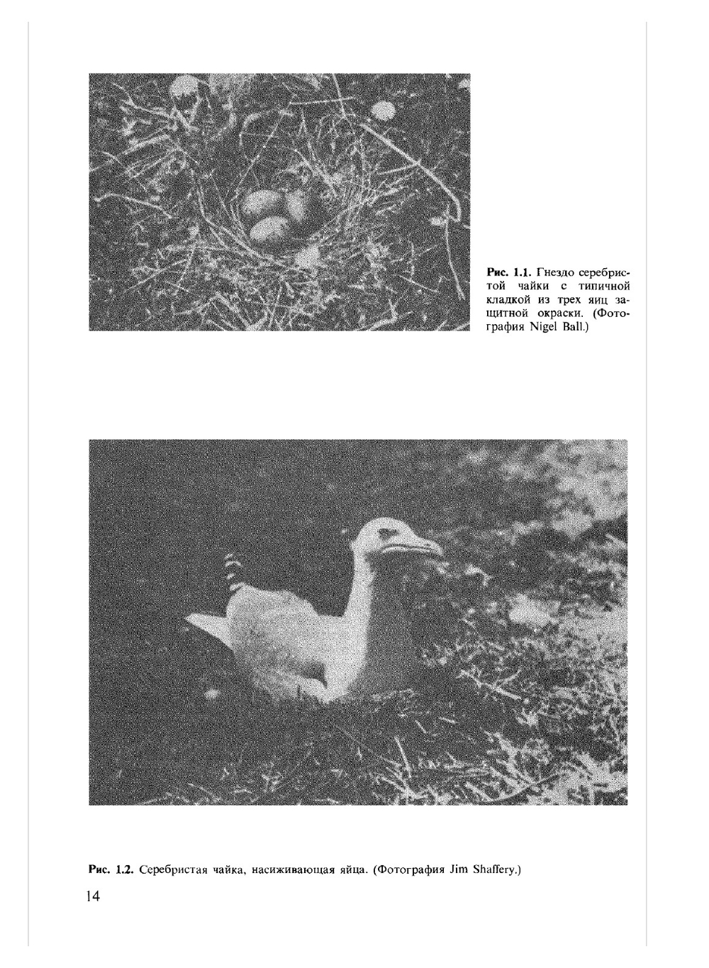 Поведение животных. Психобиология, этология и эволюция | Д. Мак-Фарленд