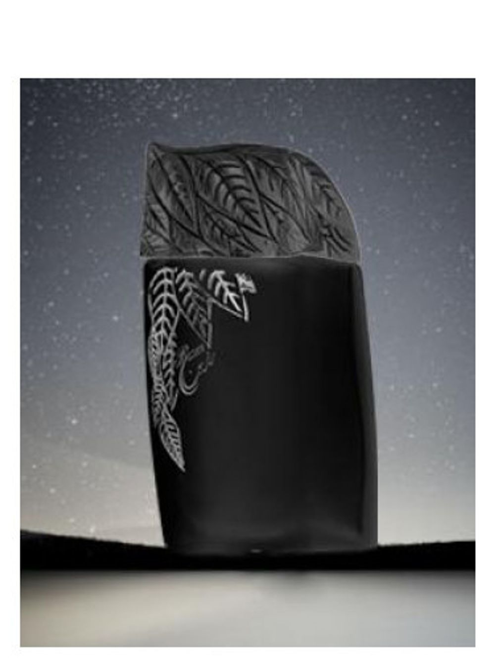 Syed Junaid Alam Razeen Midnight