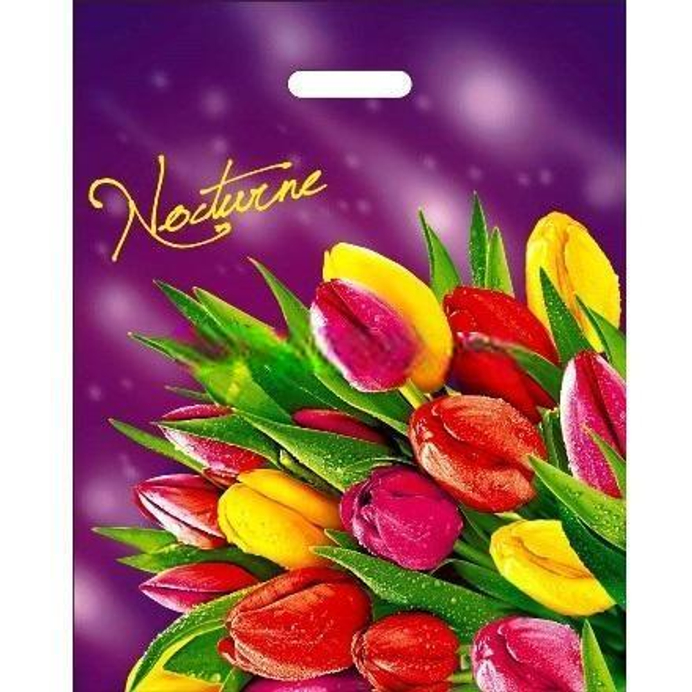 Пакет с прорубной ручкой ПВД 40х50 (80 мкм) "Ноктюрн" (50/500 шт.) Интерпак