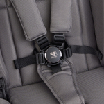 Коляска 3в1 SBL Massimo Grey