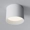 Потолочный светильник Maytoni Technical Glam C096CL-GX53-W